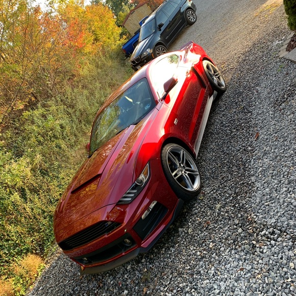 Meet your Posher, Cody - Picture 1 of 1